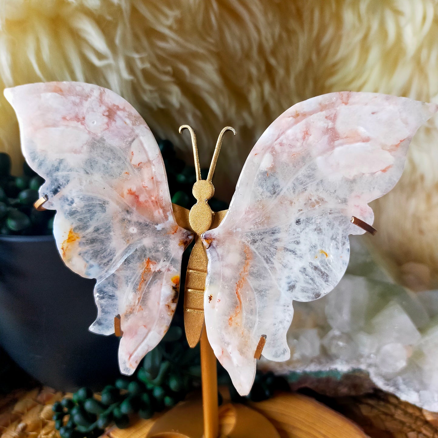 Flower Agate Butterfly Wings