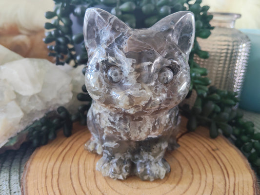 Volcano Agate Cat