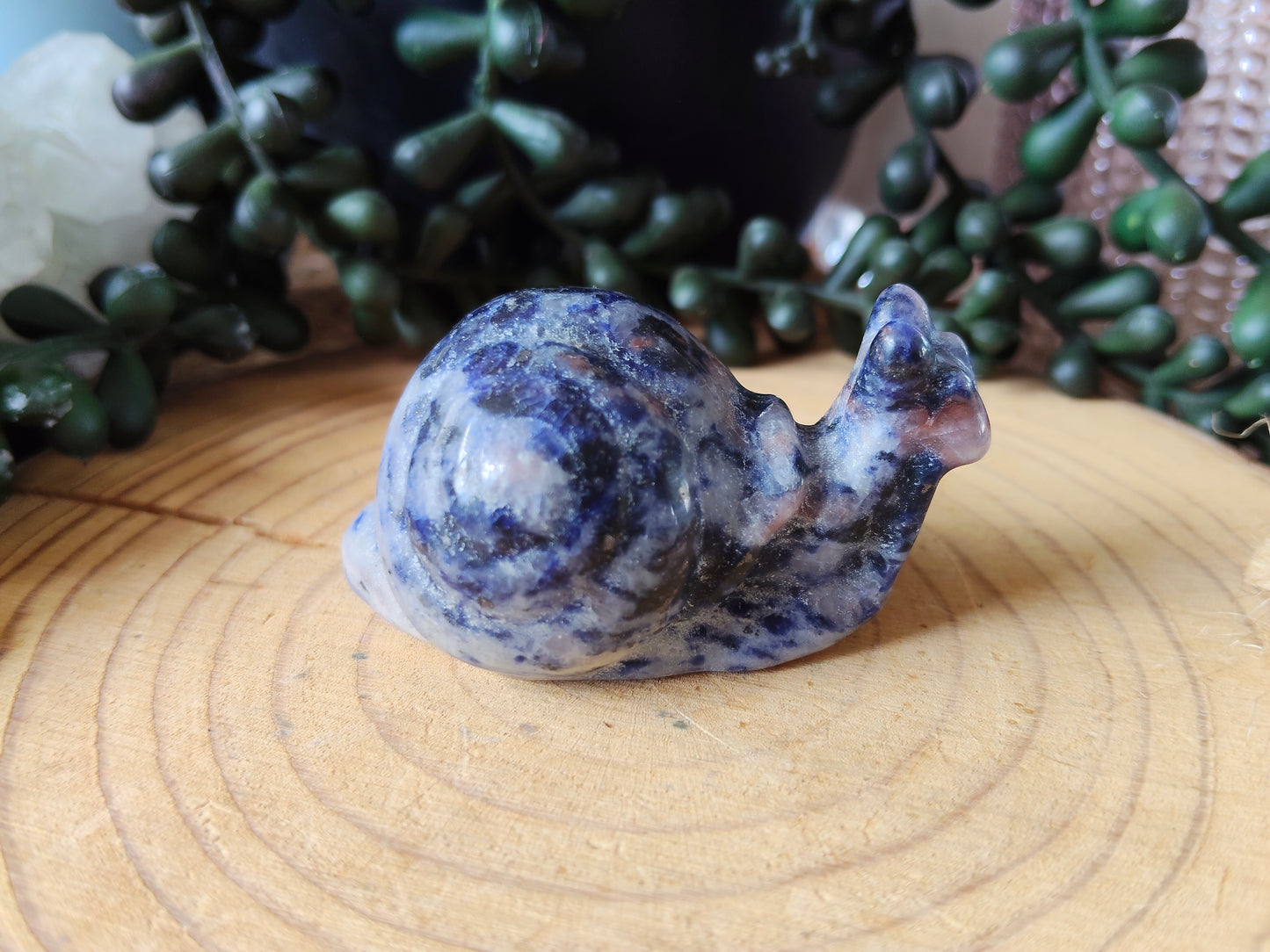 Crystal Snails