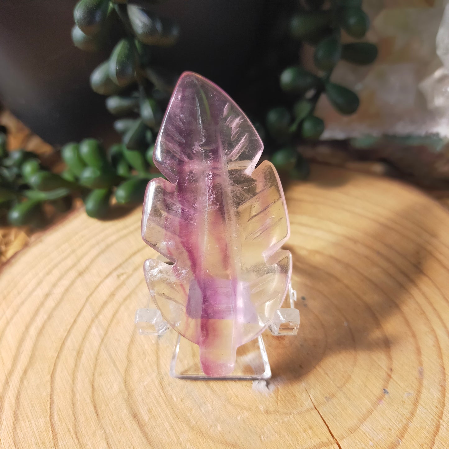 Feather Carvings