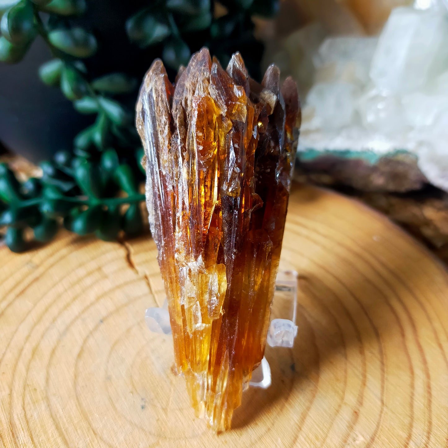 Amber Calcite
