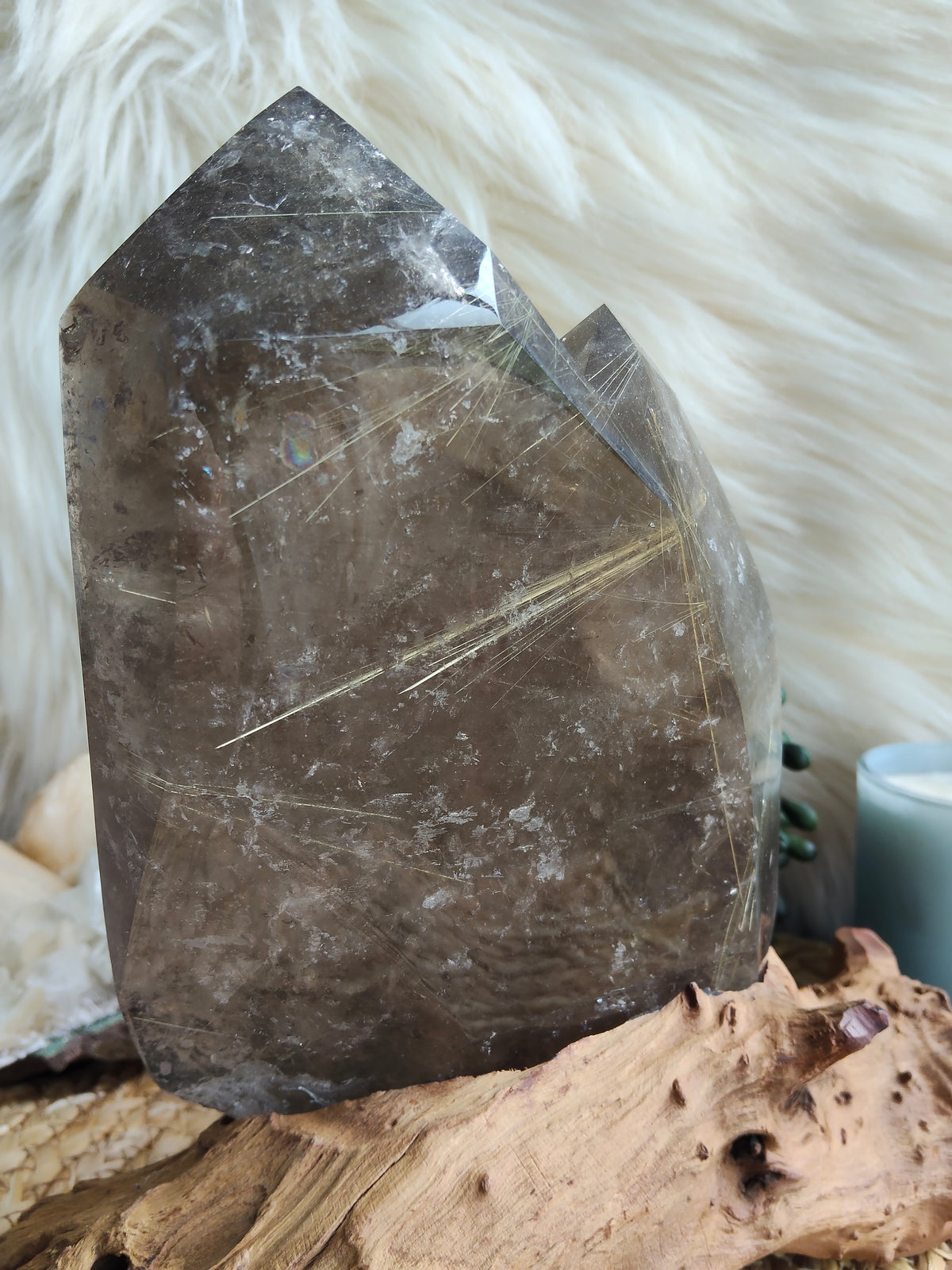 Large Rare Smokey Quartz with Golden Rutile Freeform