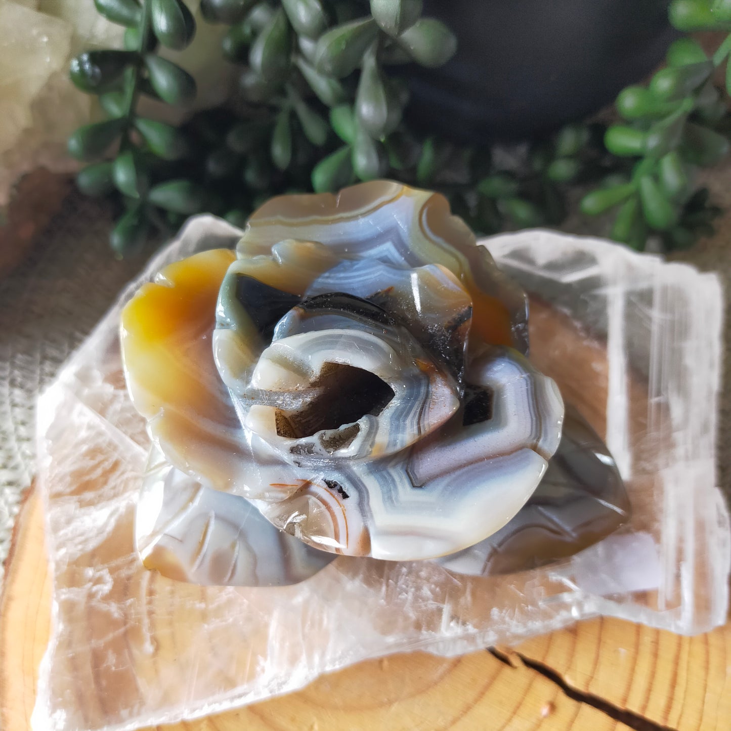 Volcano Agate Flowers