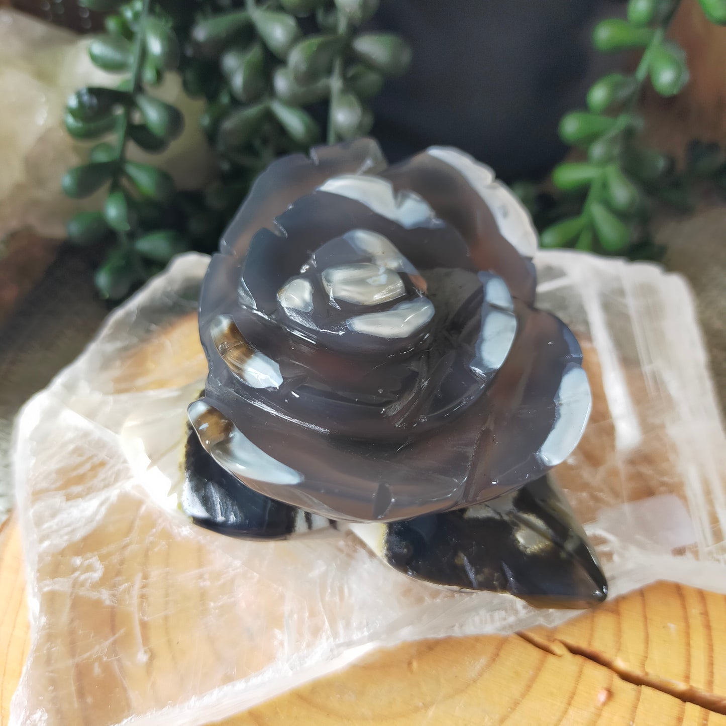 Volcano Agate Flowers