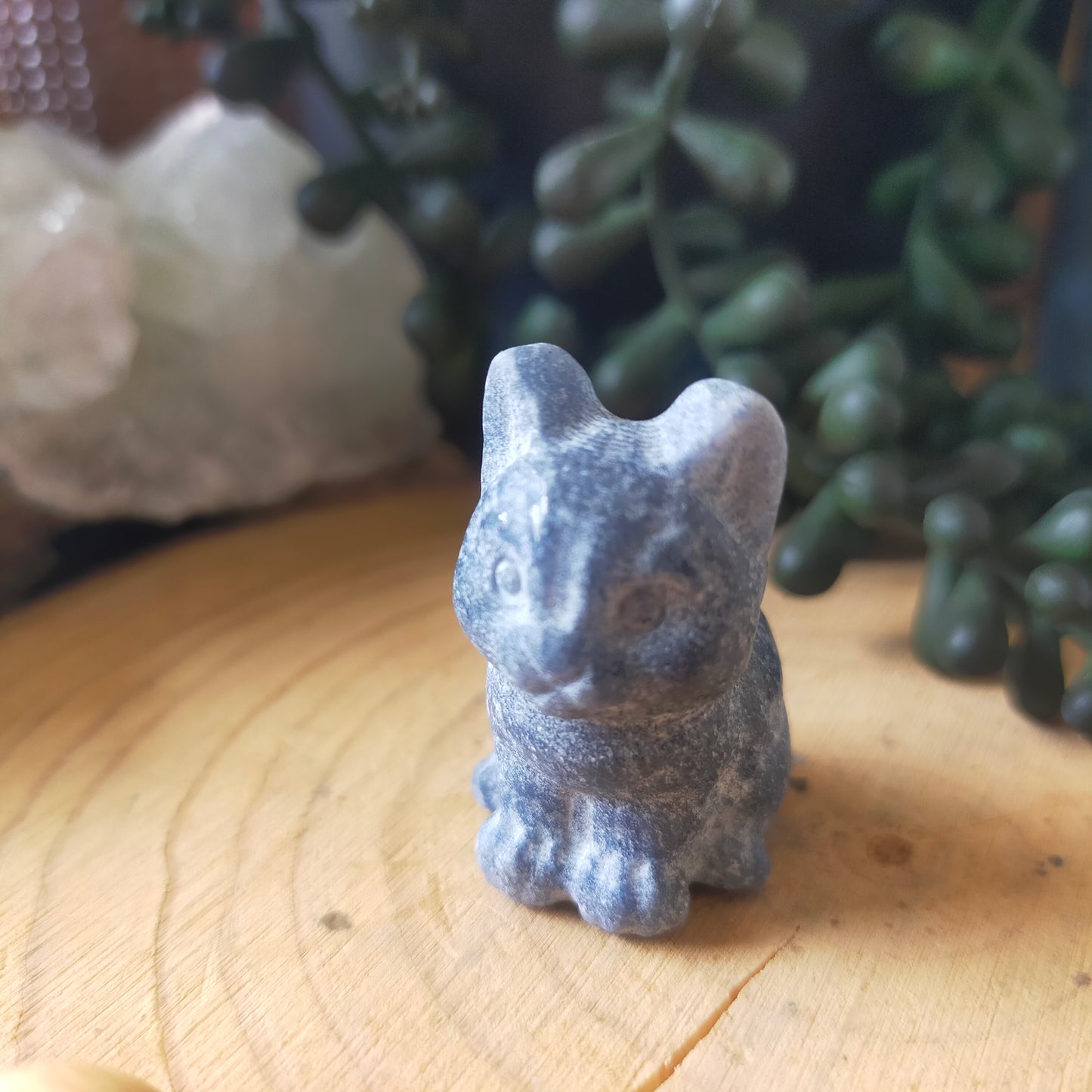 Blue Adventurine Cat