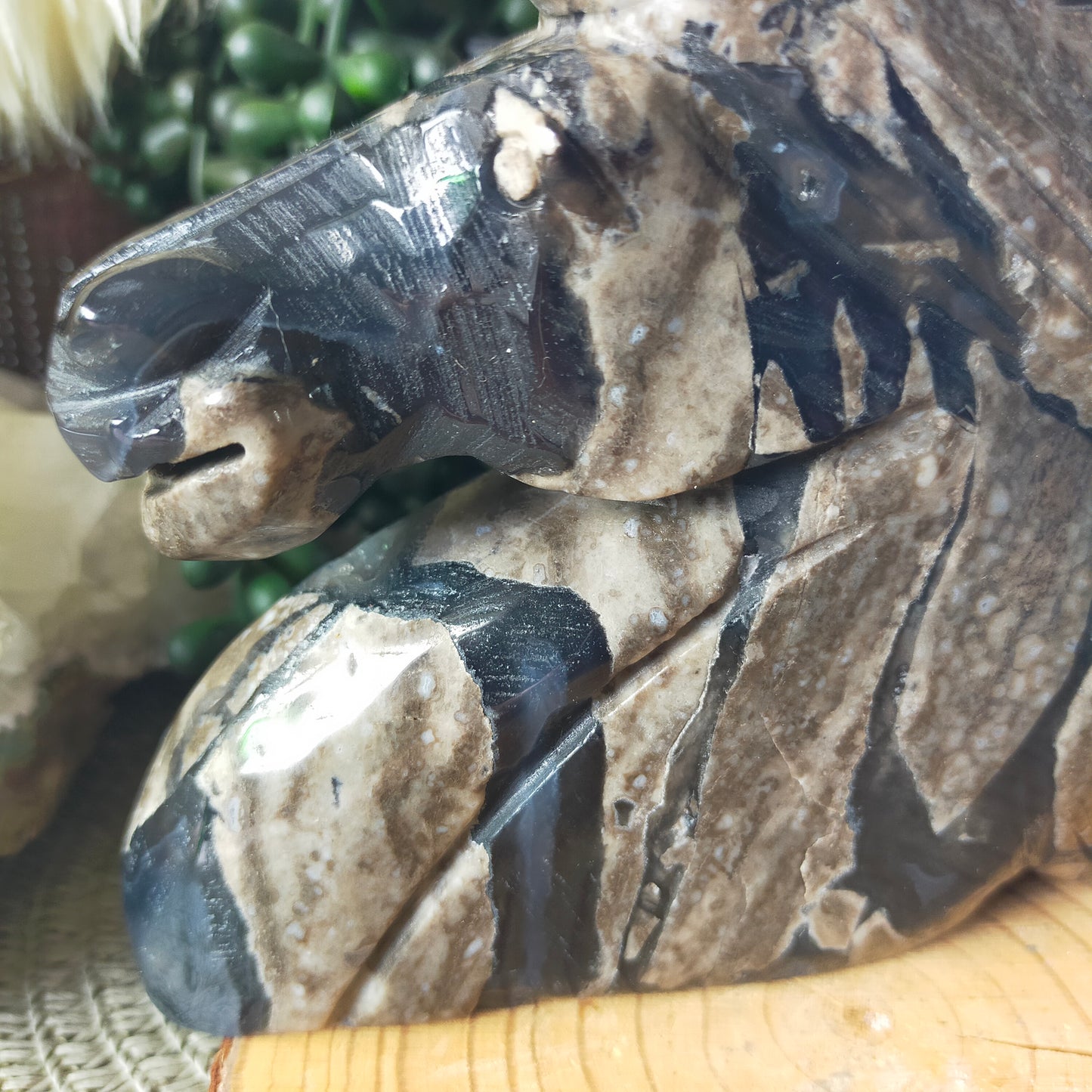 Volcano Agate Unicorn Head