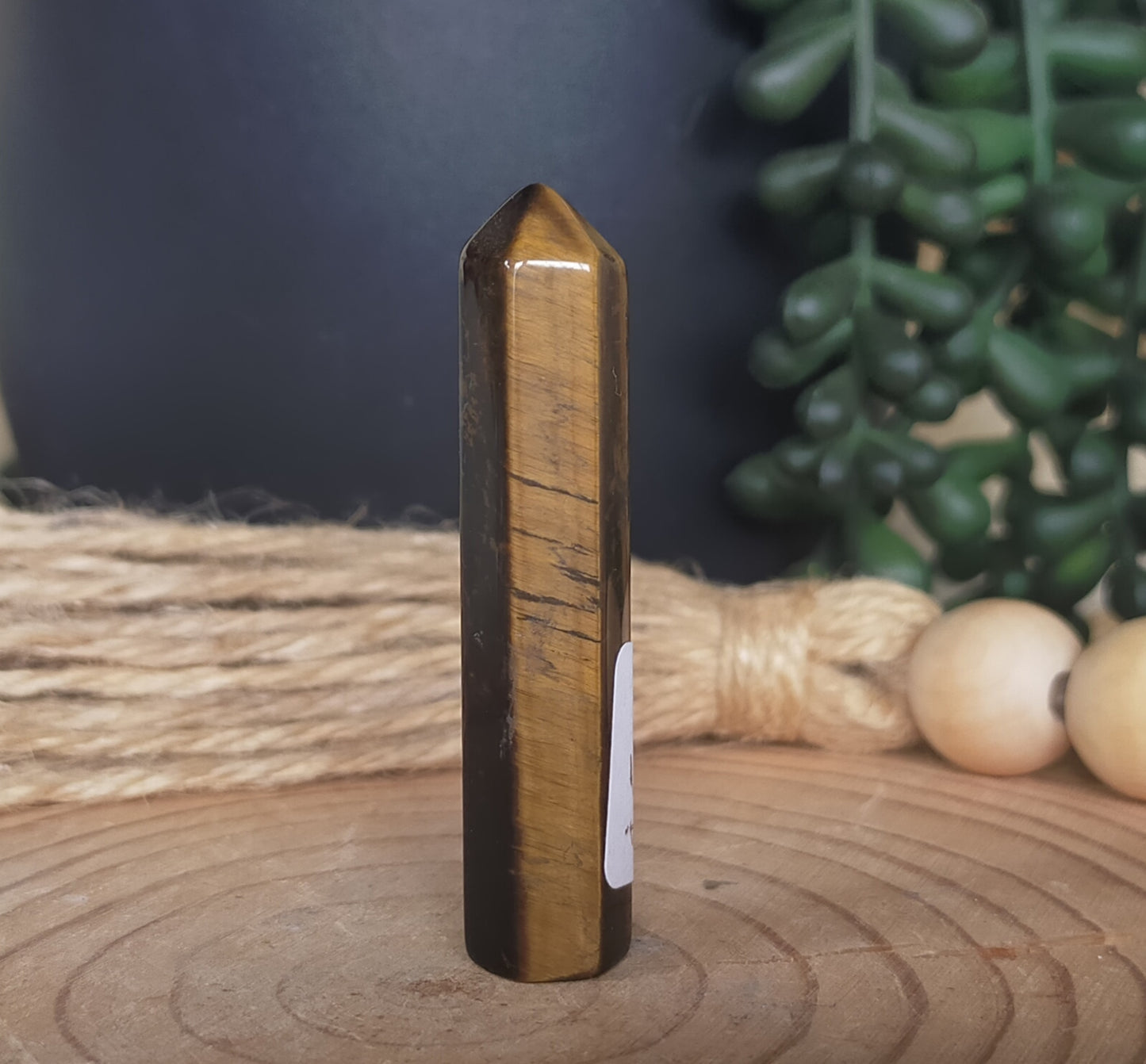 Mini Tigers Eye Point
