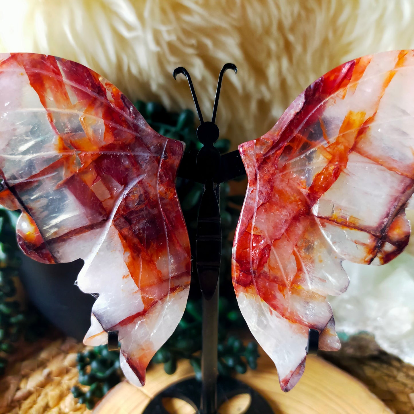 Fire Quartz Butterfly Wings