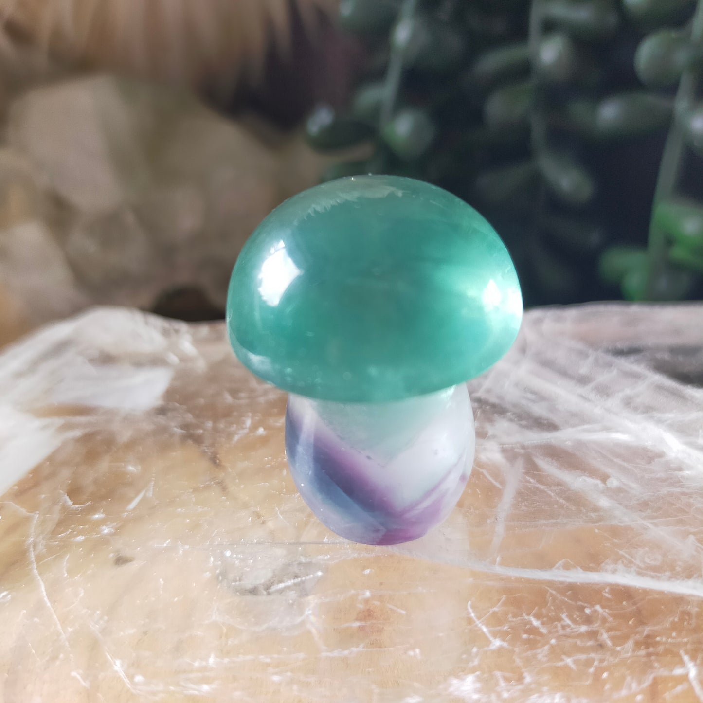 Fluorite Mushrooms