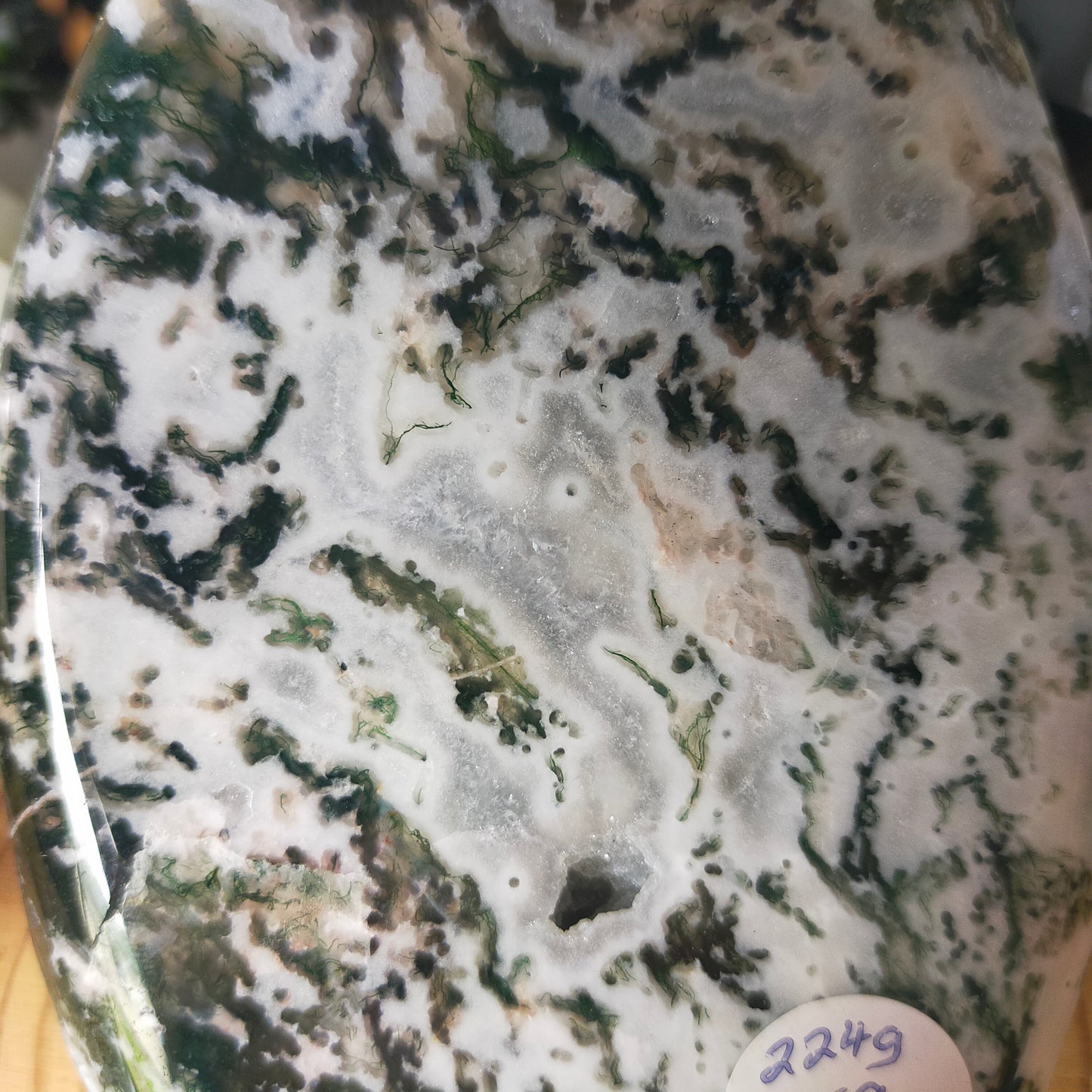 Moss Agate Freeform