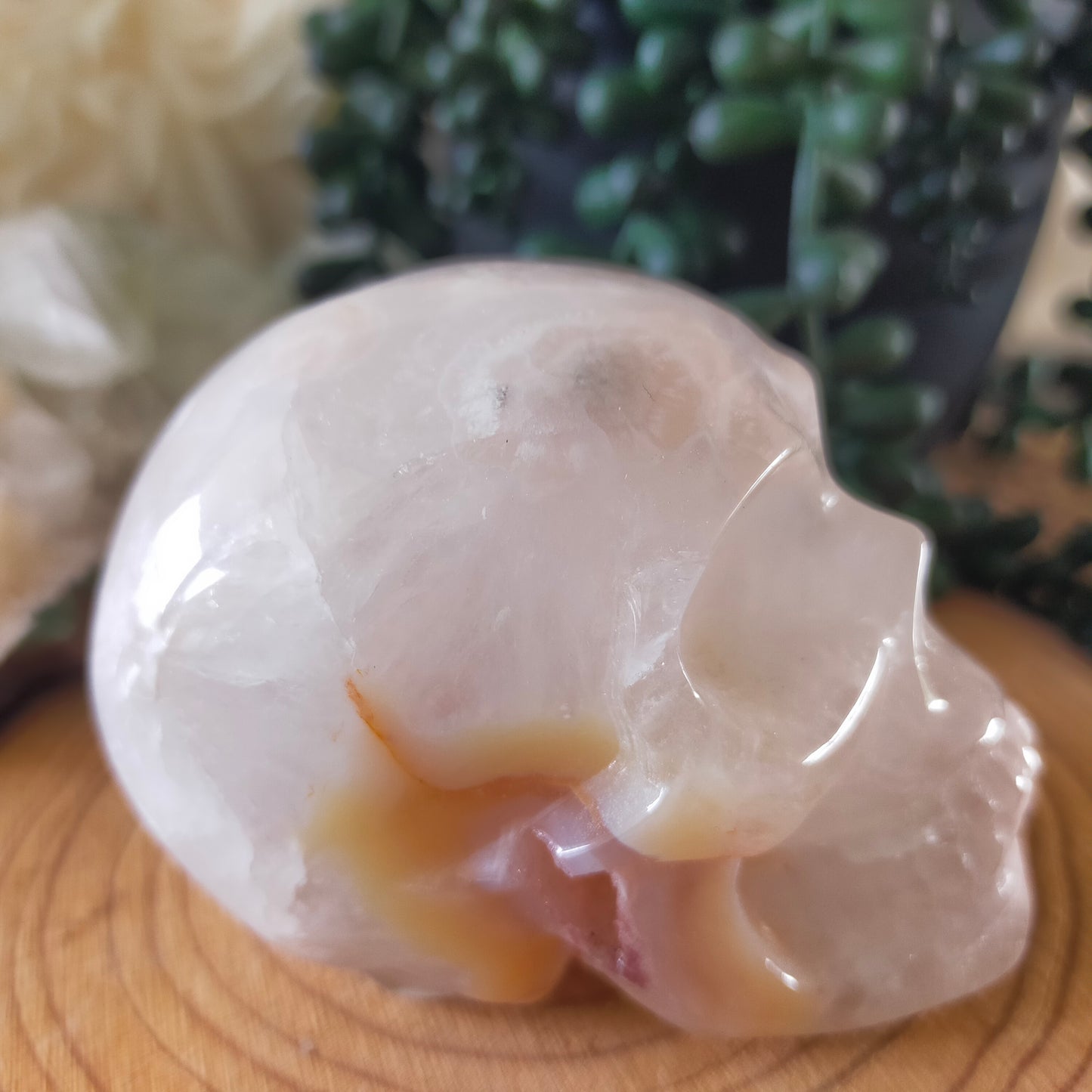 Flower Agate Skull