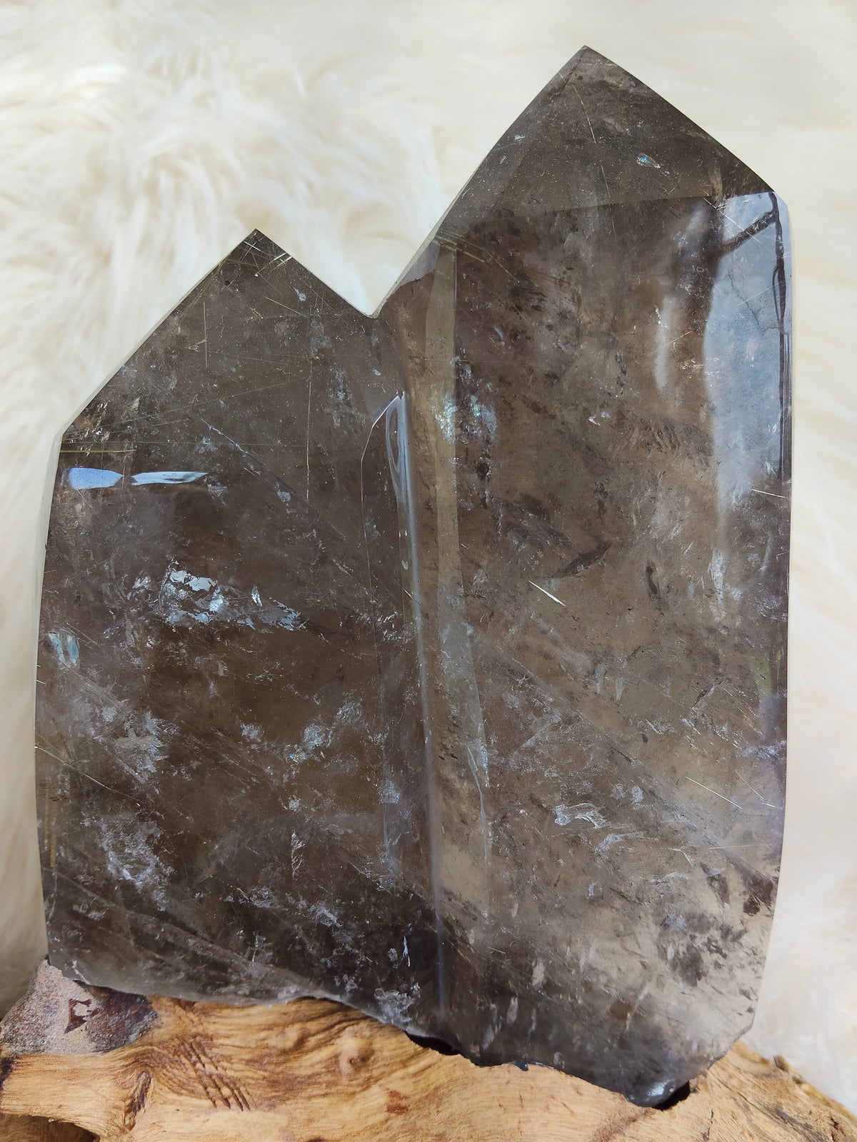 Large Rare Smokey Quartz with Golden Rutile Freeform