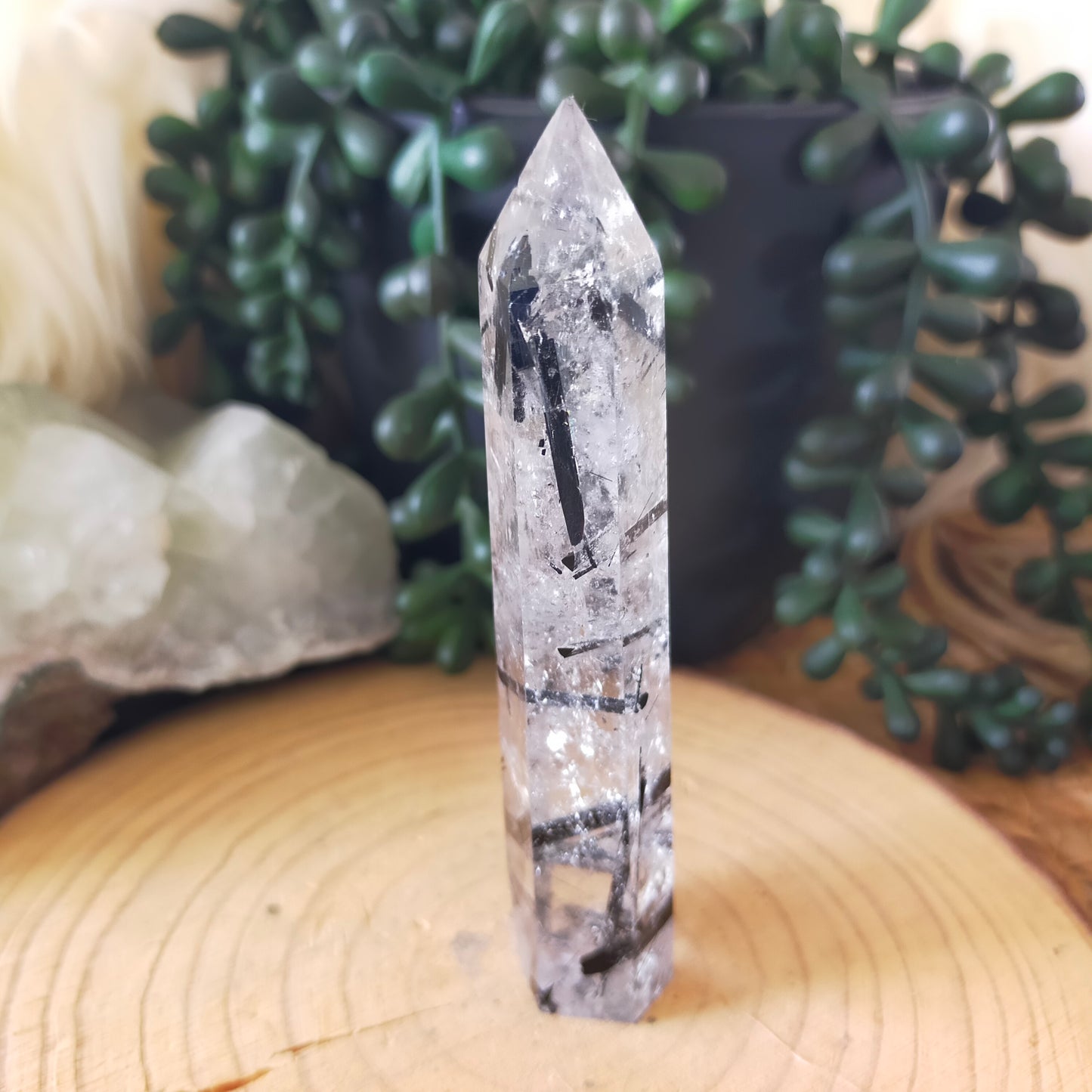 Black Tourmaline in Quartz Point