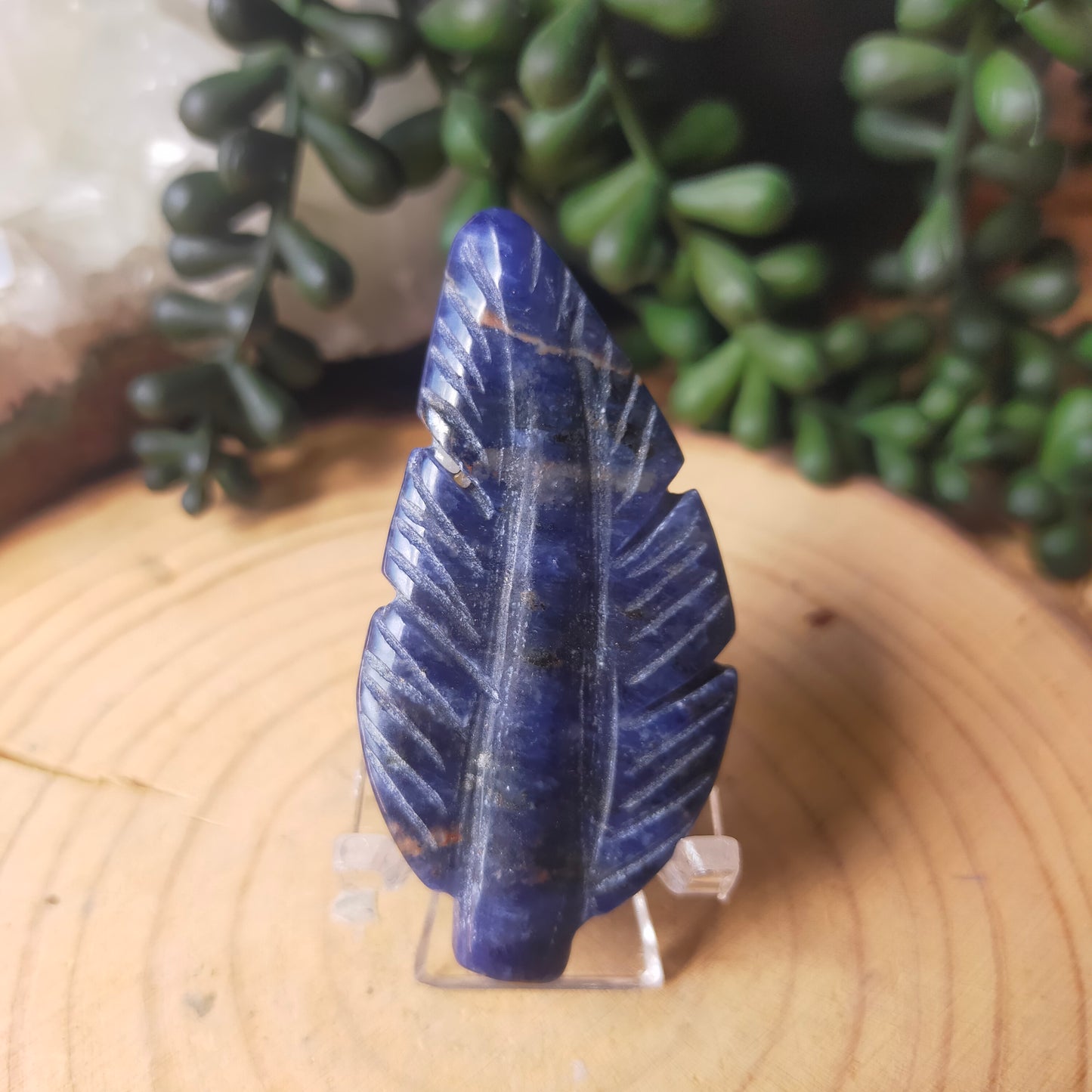 Feather Carvings