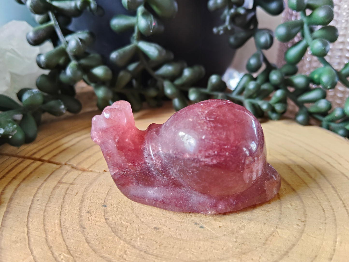 Crystal Snails