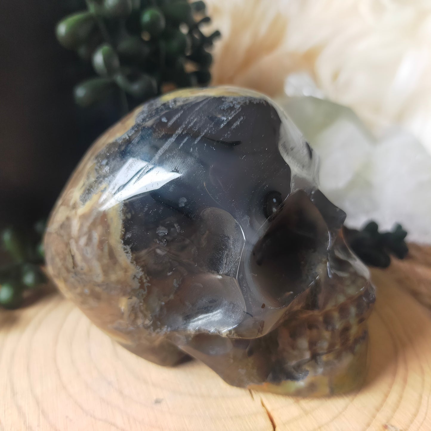 Volcano Agate Skull