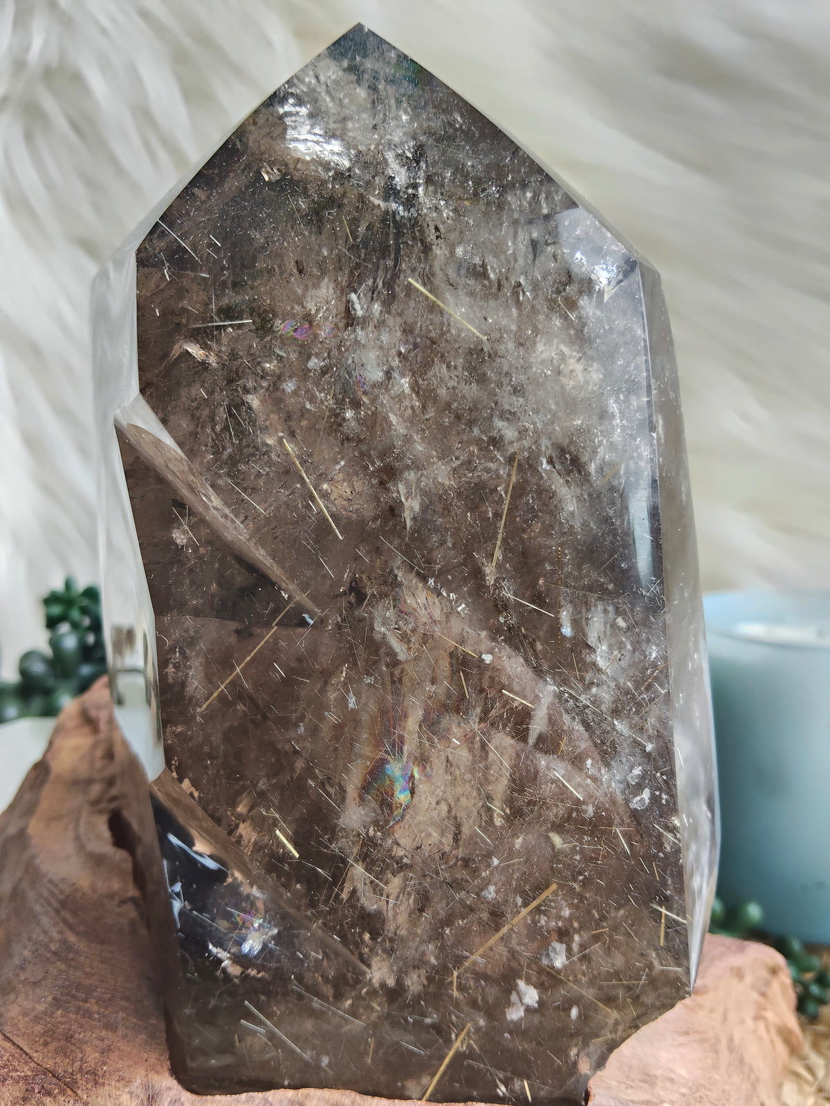 Large Rare Smokey Quartz with Golden Rutile