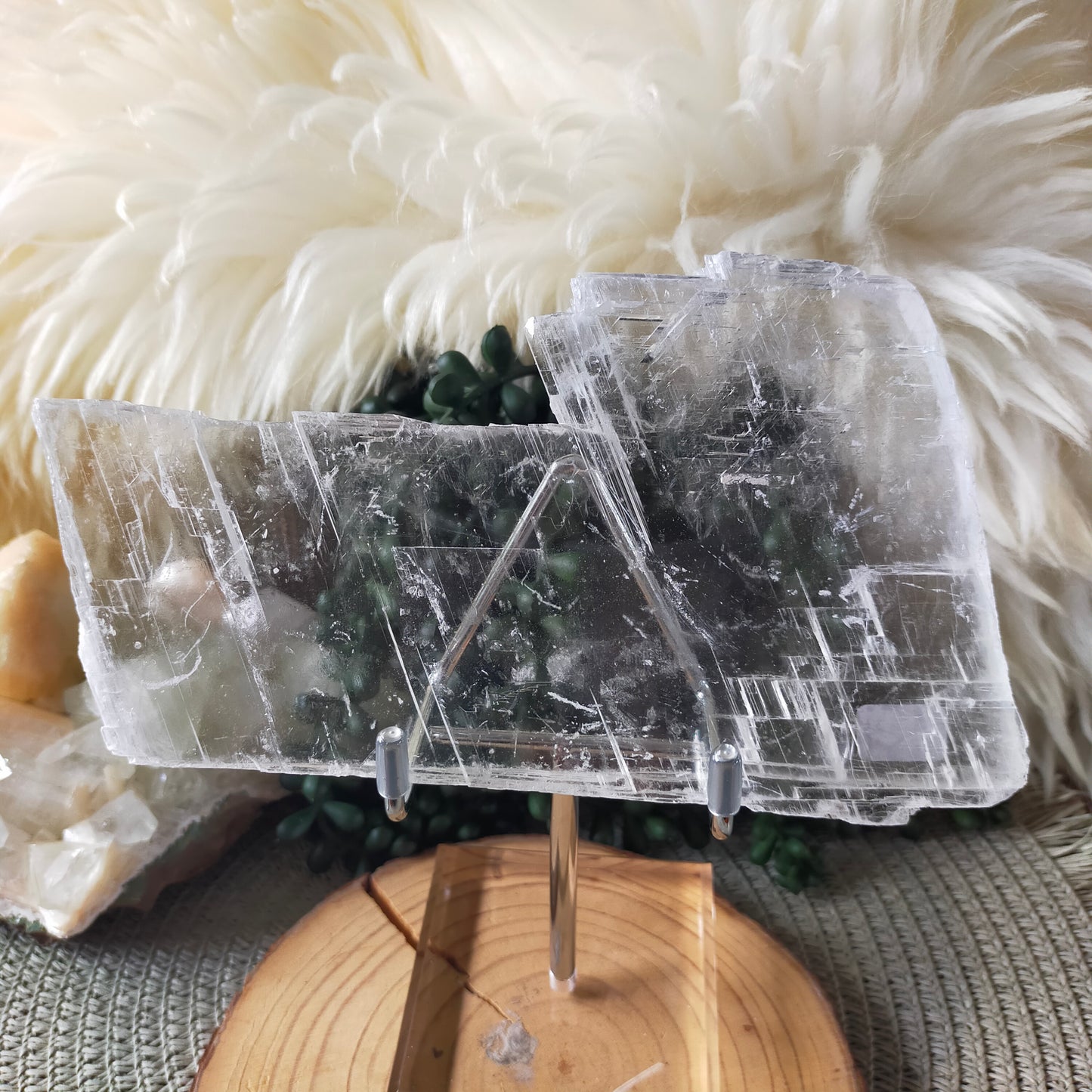 Selenite Plates