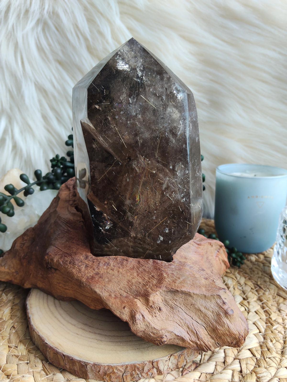Large Rare Smokey Quartz with Golden Rutile