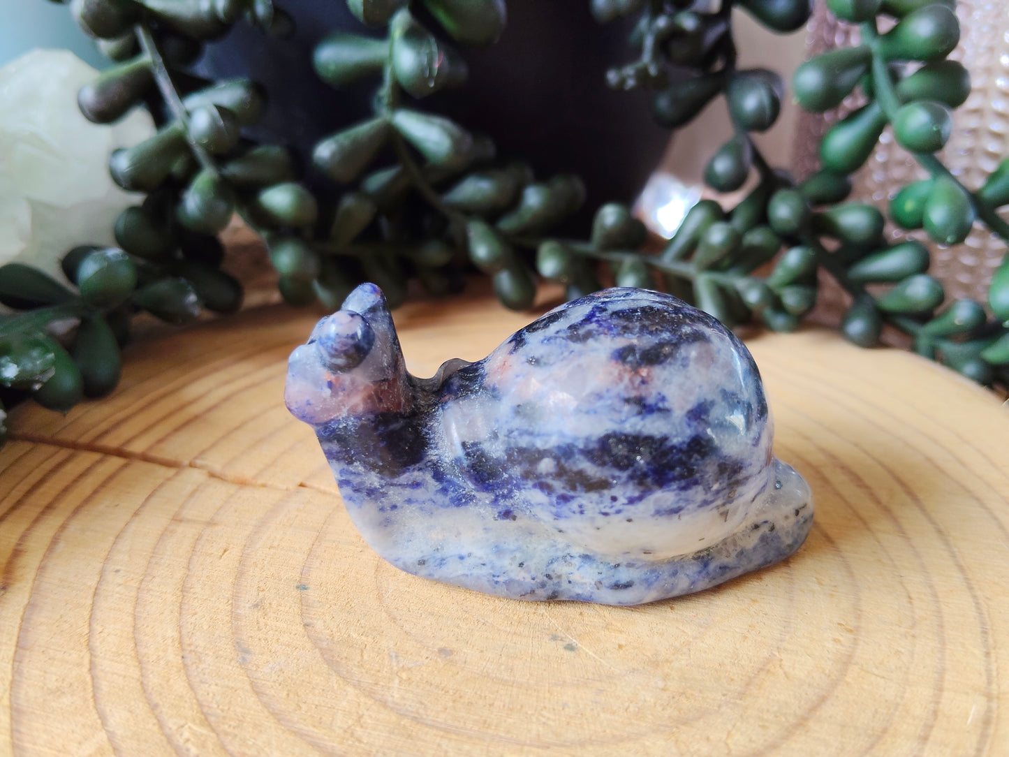 Crystal Snails