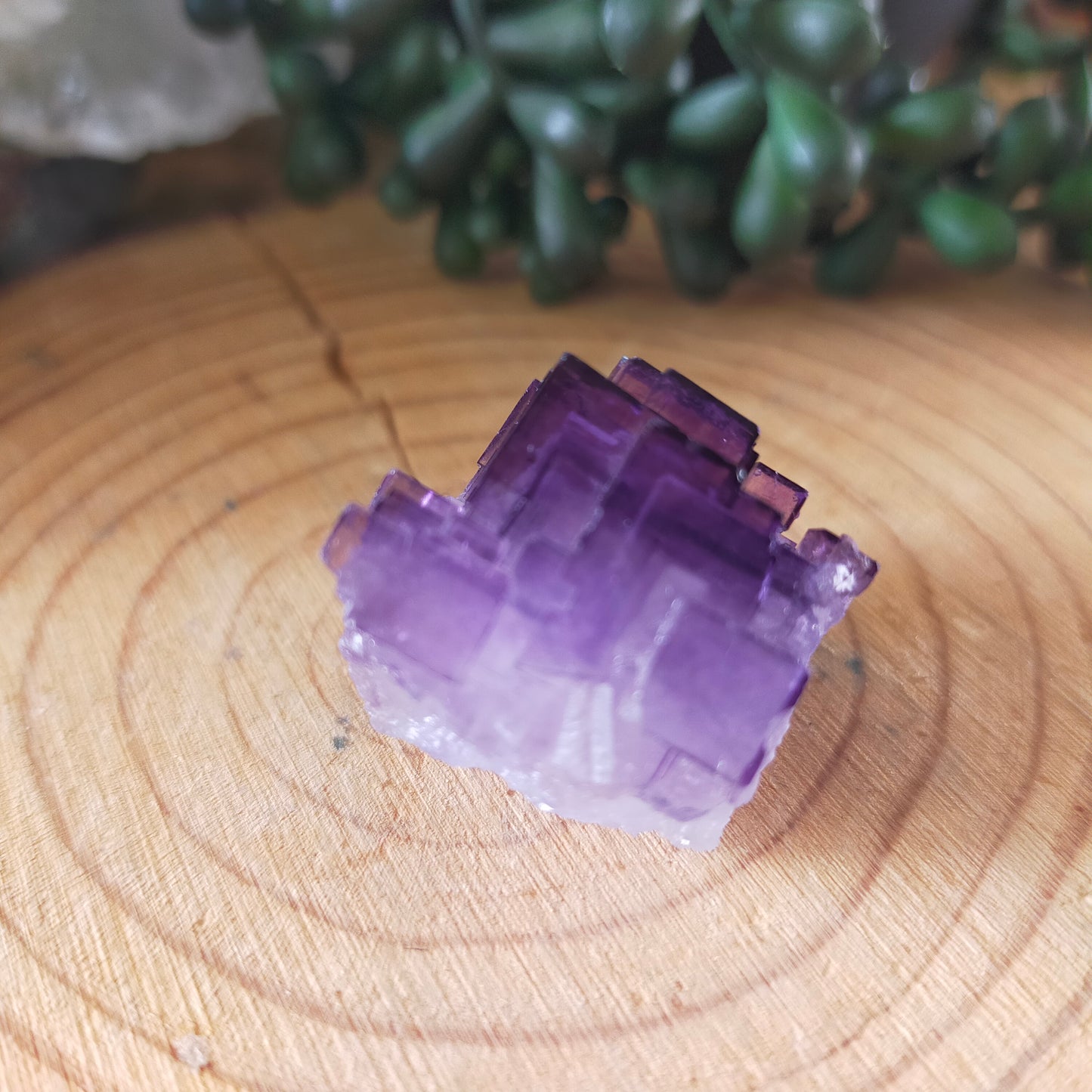 Fluorite Specimen