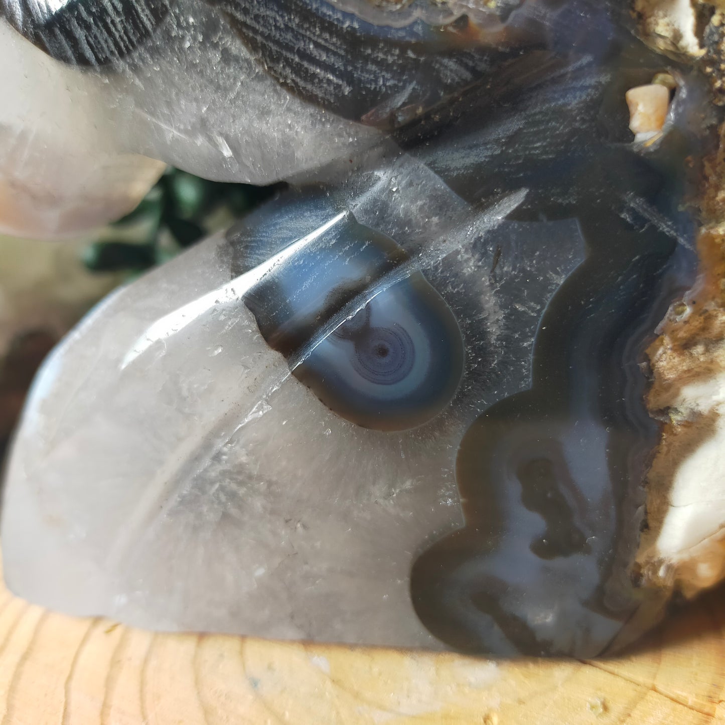 Volcano Agate Unicorn Head
